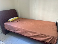 Blk 247 Tampines Street 21 (Tampines), HDB 5 Rooms #513941891